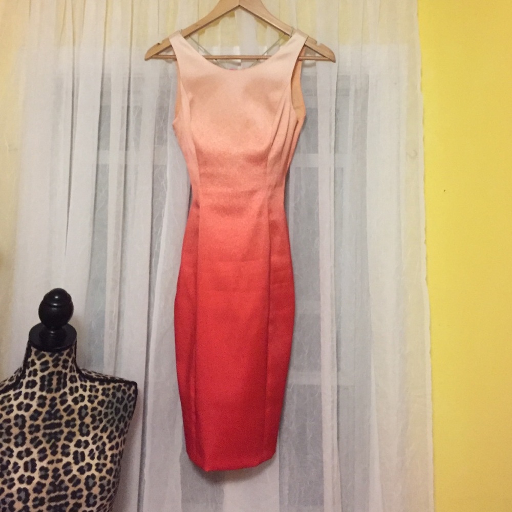 Karen Millen Ombré dress